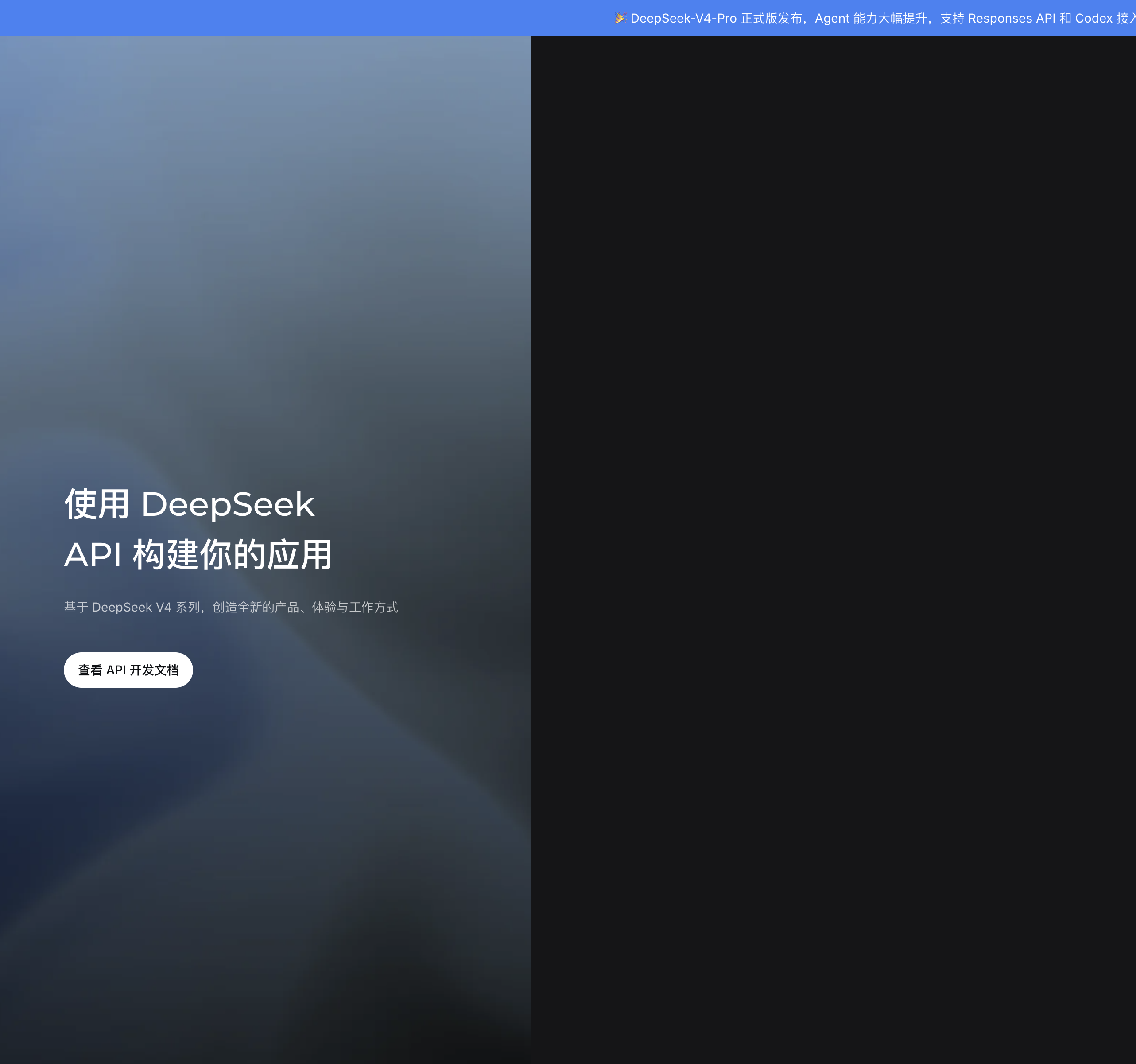 DeepSeek 登入頁面